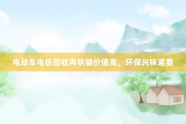 电动车电板回收再哄骗价值高，环保兴味紧要