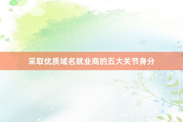 采取优质域名就业商的五大关节身分