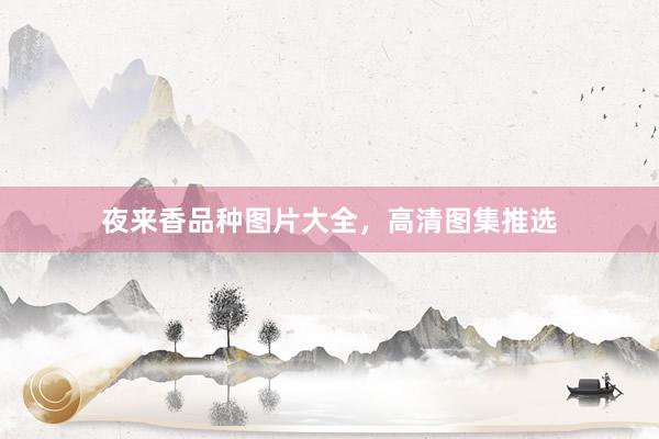 夜来香品种图片大全，高清图集推选
